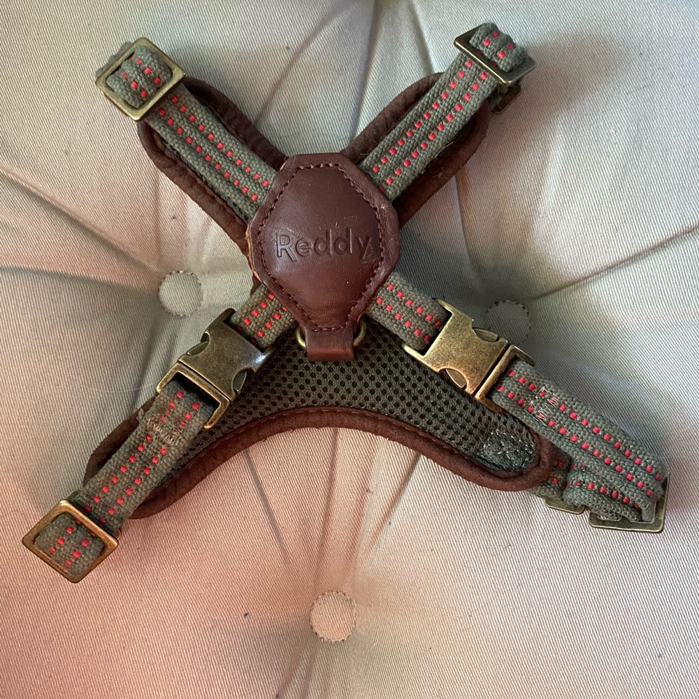Dog harness
